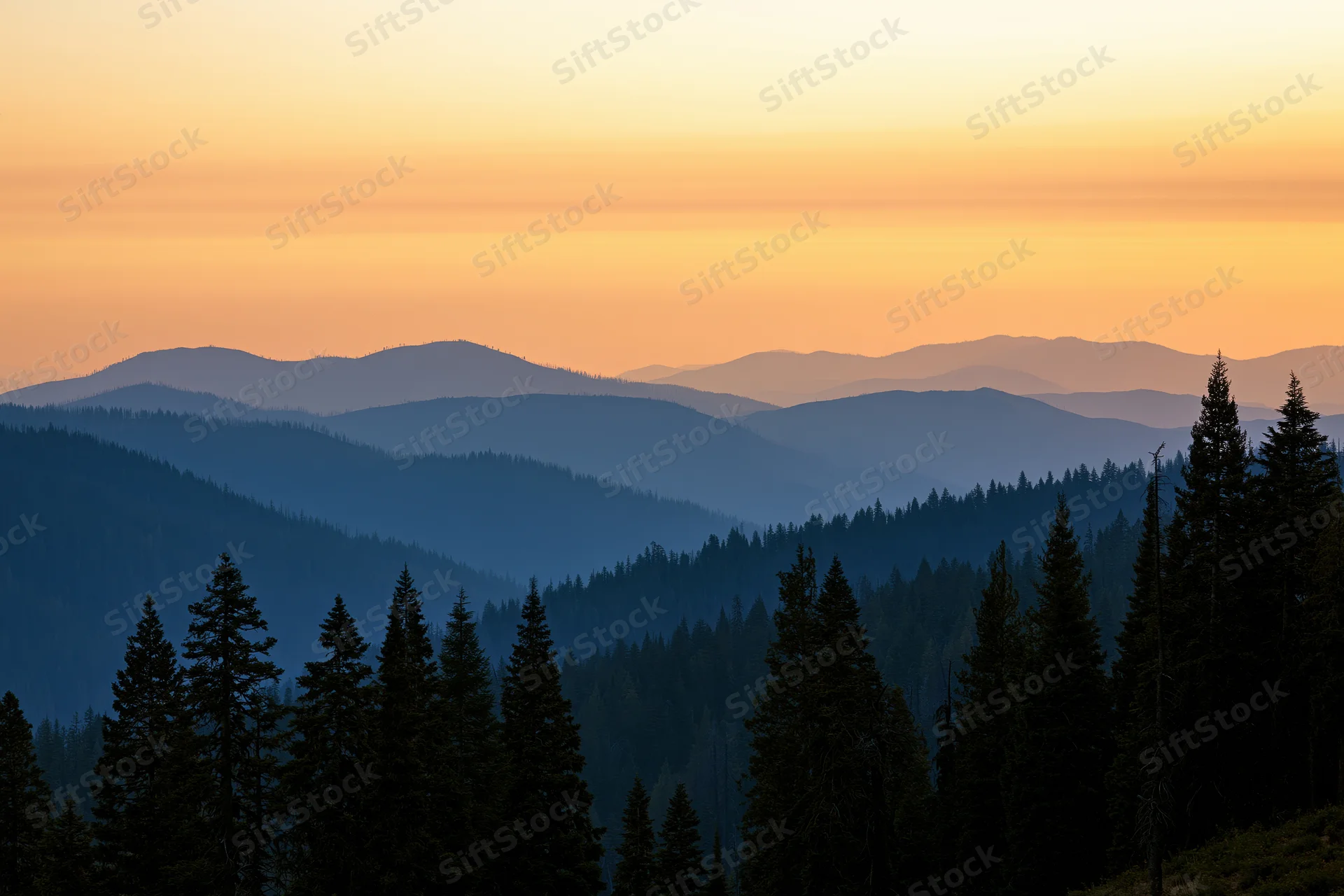 Layered mountain ridges receding into hazy distance with pine trees in silhouette at sunset
