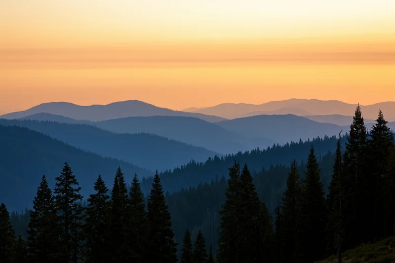 Layered mountain ridges receding into hazy distance with pine trees in silhouette at sunset