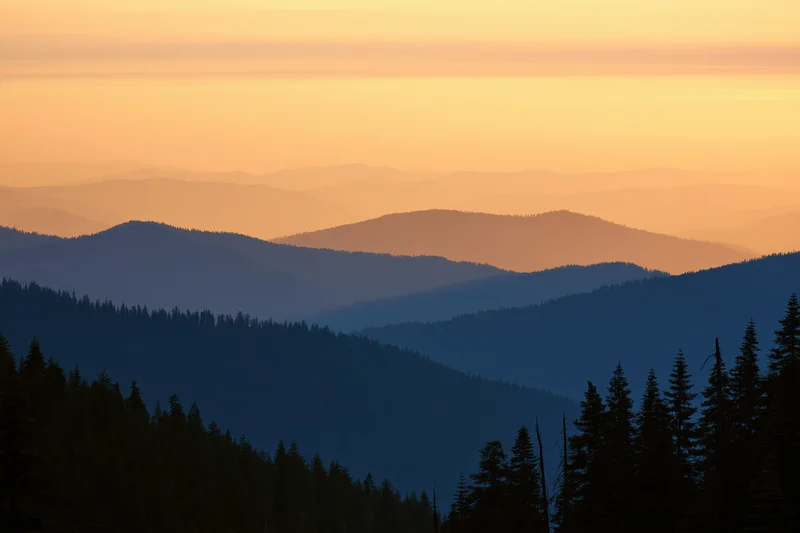 Layered mountain ridges silhouetted against a hazy orange sky at sunset with dense pine forest in foreground