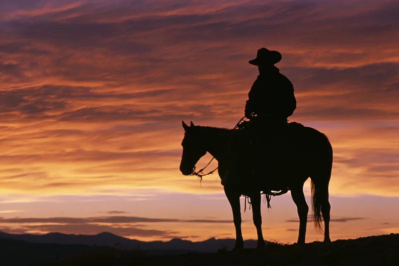Cowboy riding horse in silhouette against sunset sky with mountains in distance