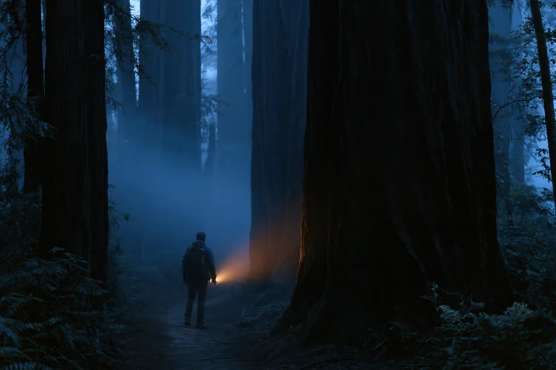 Hiker with flashlight walking along narrow dirt trail in dense redwood forest at night