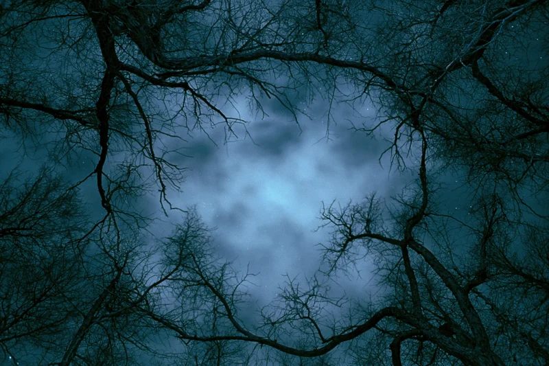Upward view through bare gnarled tree branches framing a cloudy night sky with stars and moonlight
