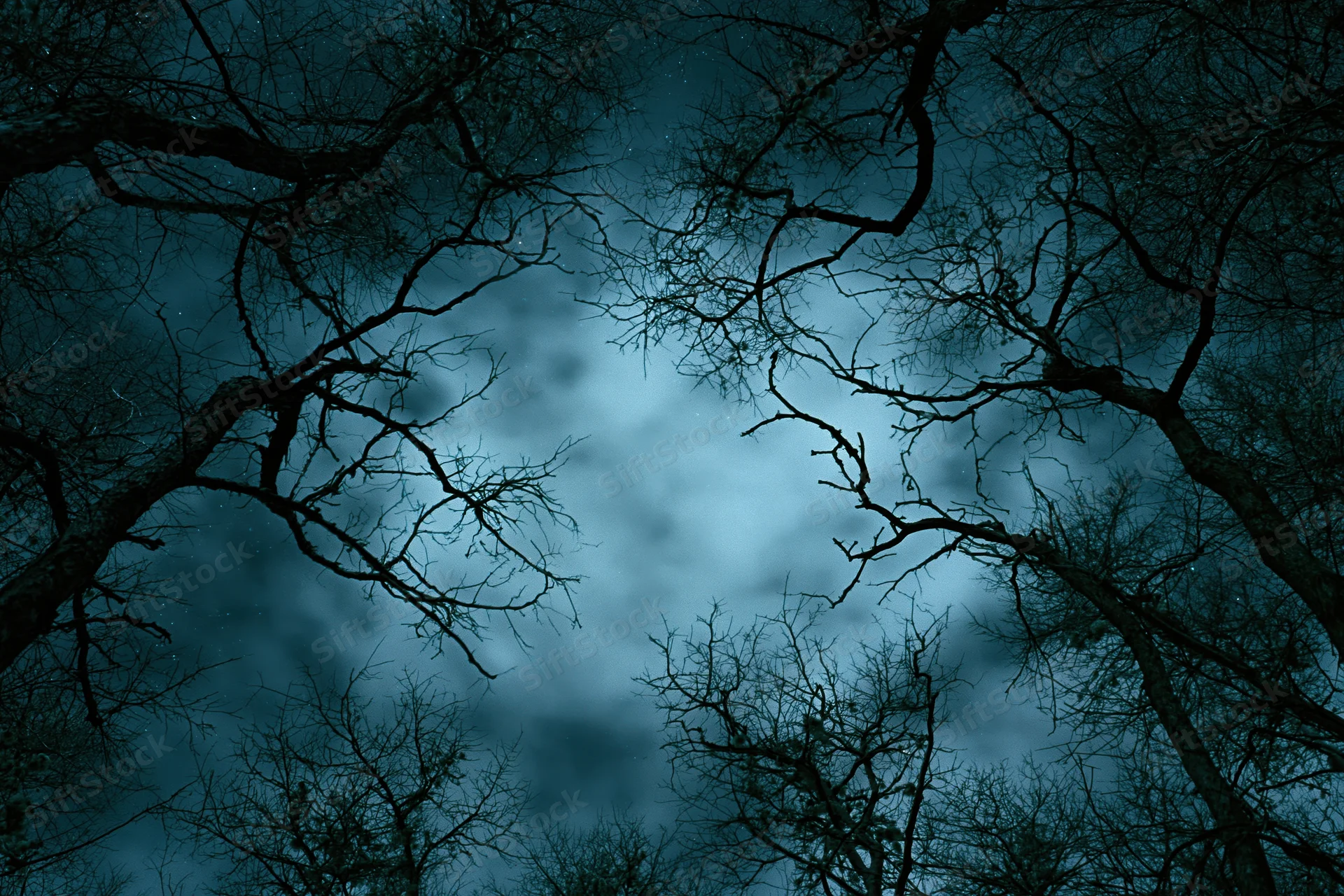 Bare gnarled tree branches silhouetted against a cloudy night sky with moonlight filtering through the forest canopy