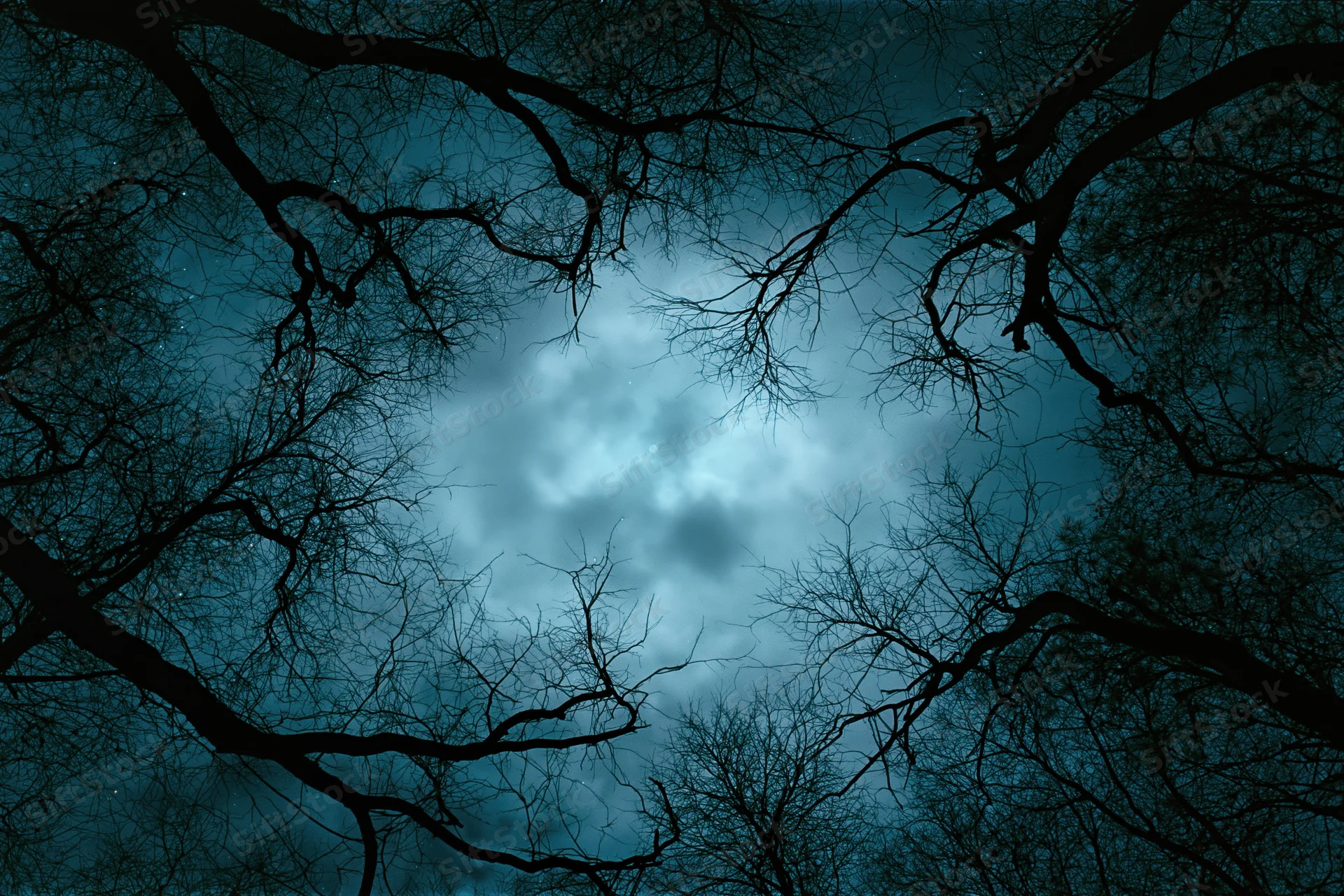 Upward view through bare gnarled tree branches against a cloudy night sky