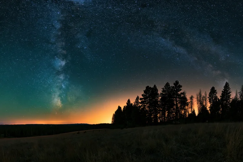 Milky way arching over dark forest silhouette at twilight