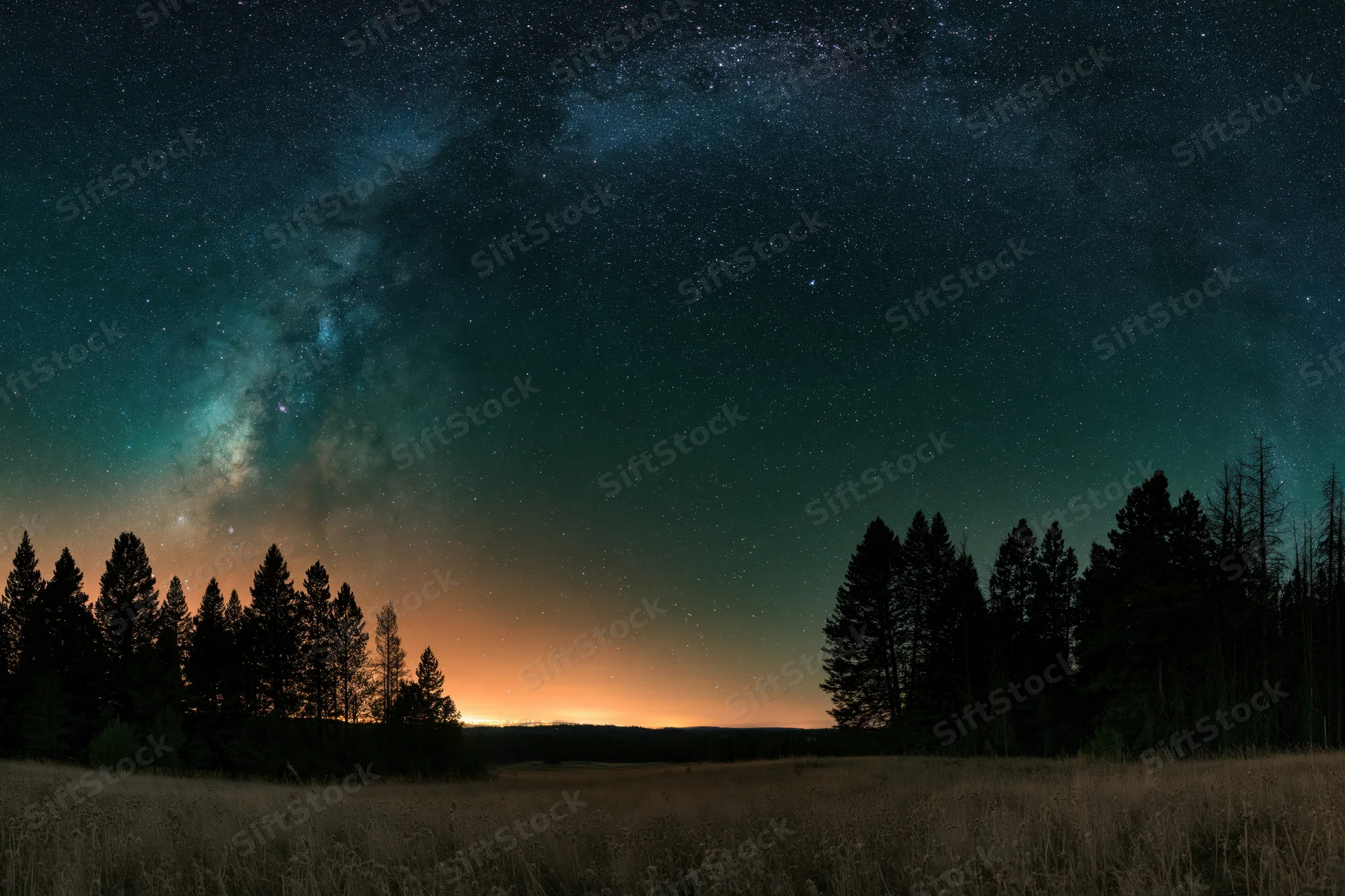 Milky way arching over dark forest silhouette at night