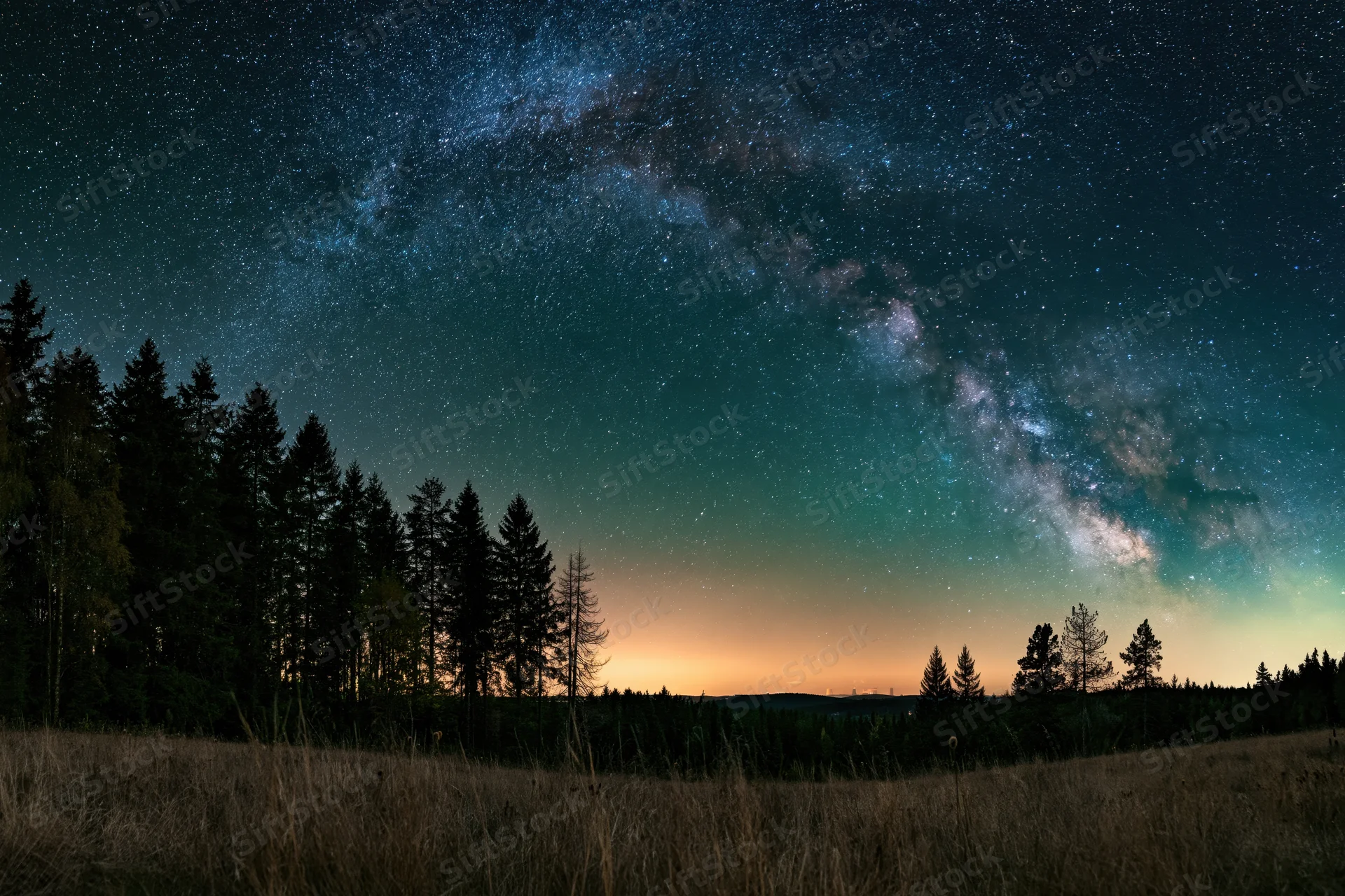 Milky way arching over dark forest silhouette at night
