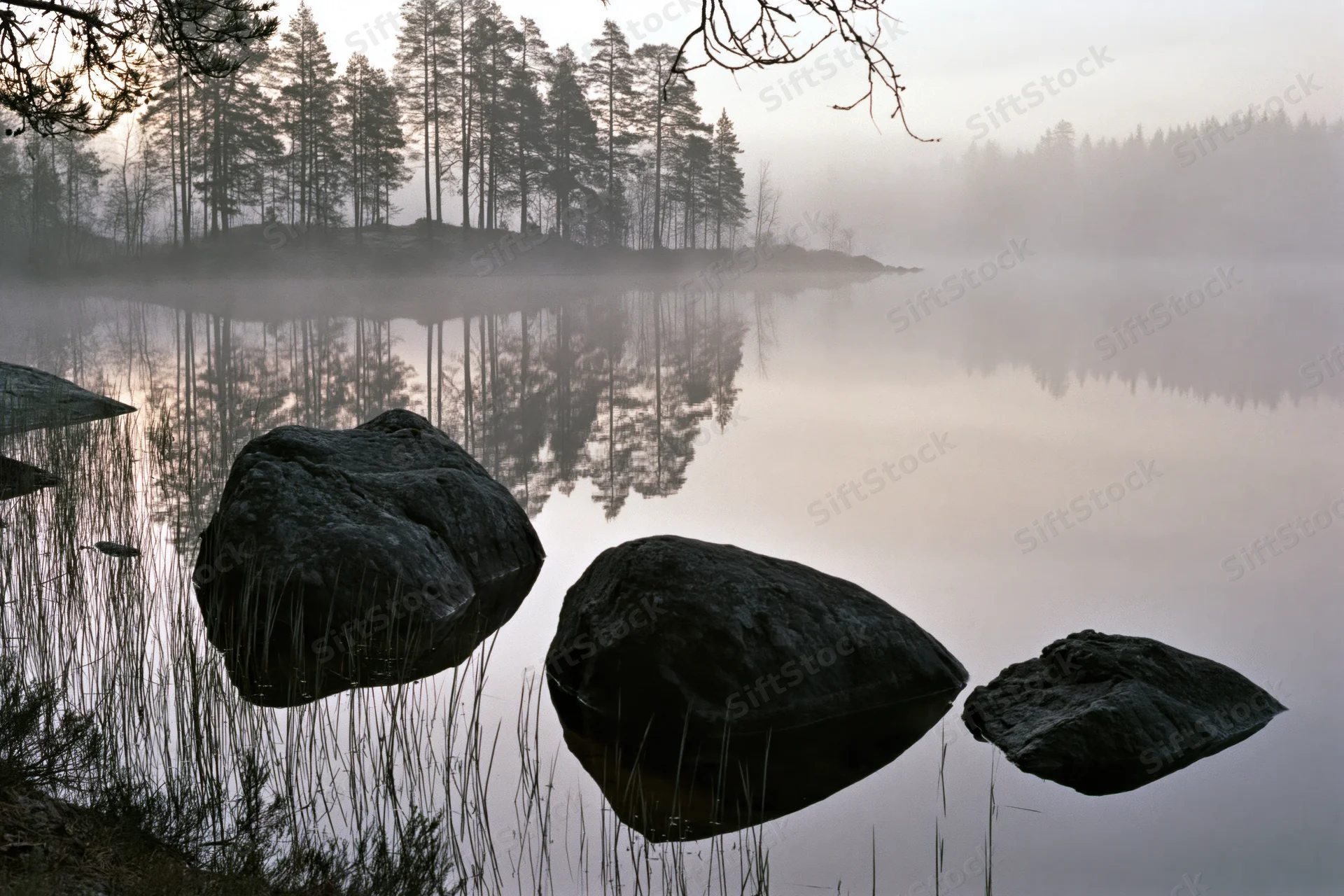 Misty lake with dark granite boulders reflecting pine trees at dawn