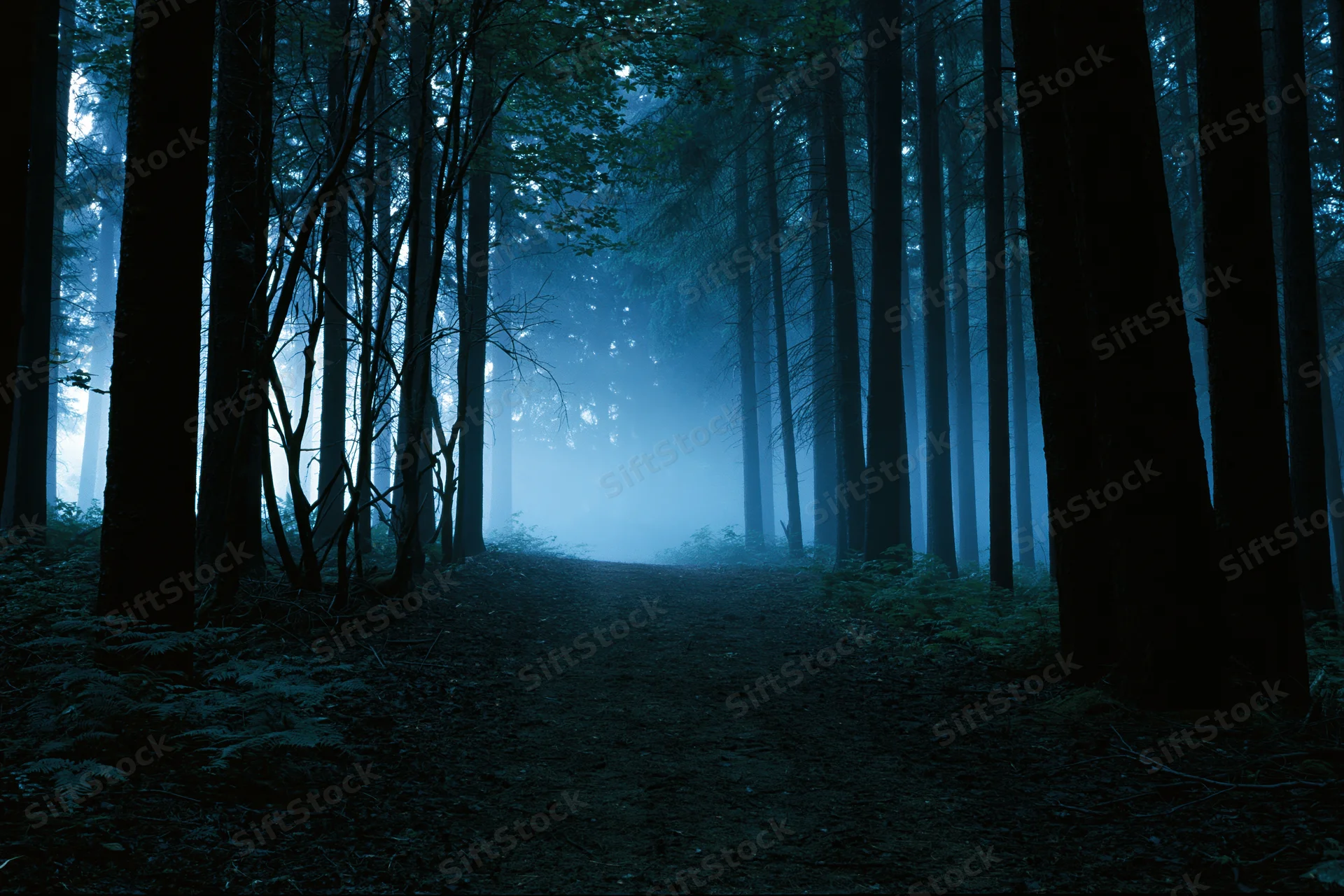 Narrow dirt path winding through a foggy forest at twilight