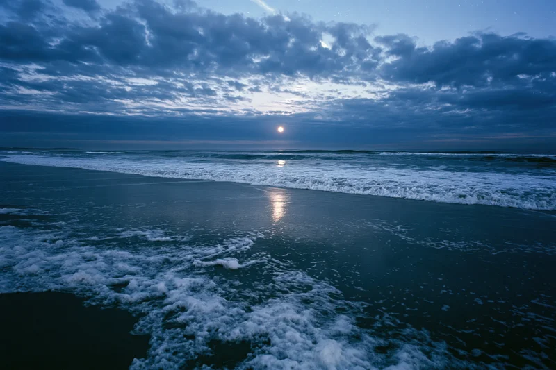 Ocean waves breaking on a wet sandy beach at night under moonlight