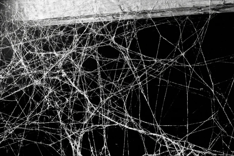 Tangled spiderweb stretching across a dark corner with visible filaments and shadows
