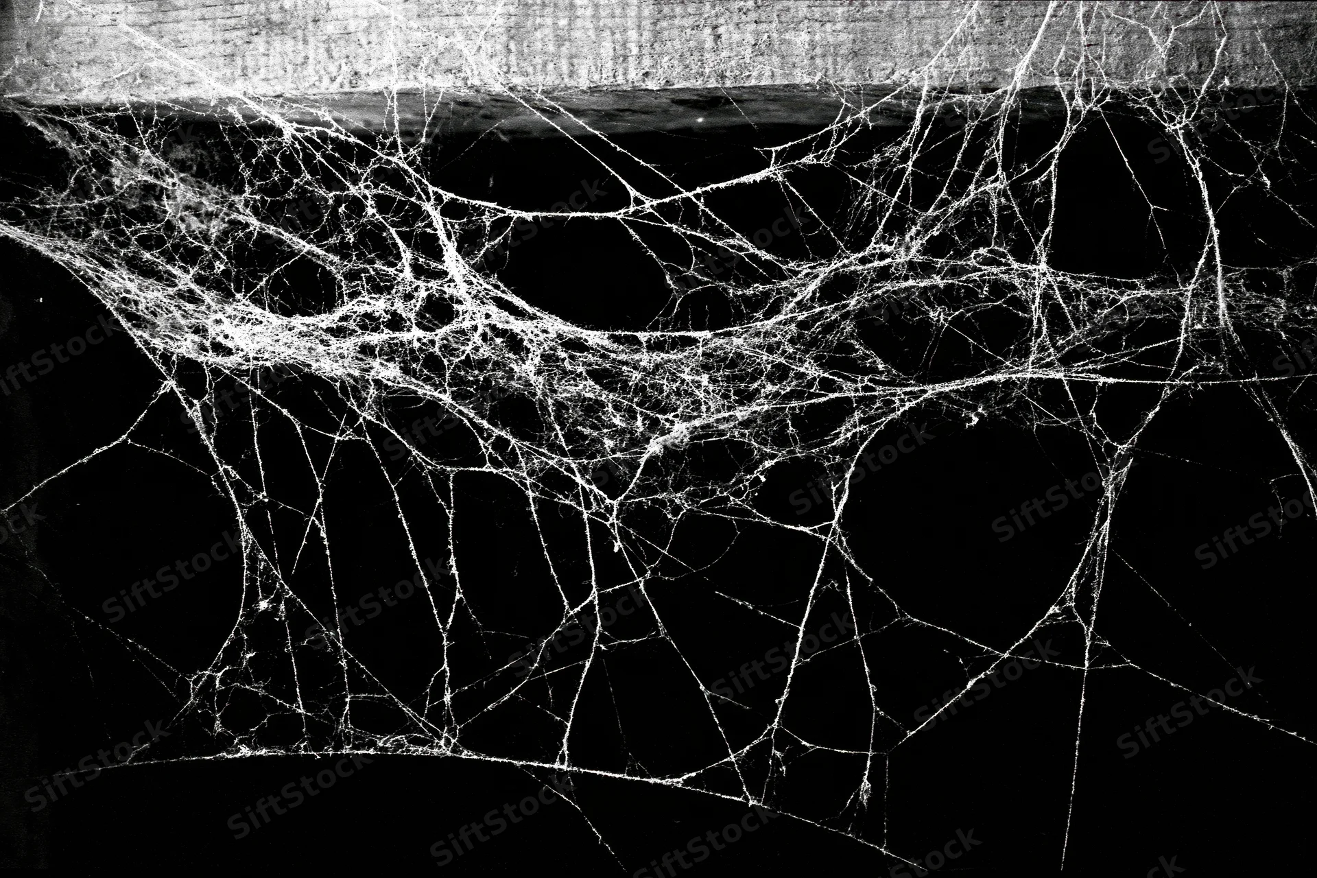 Tangled spiderweb stretched across dark corner with visible filaments and shadows