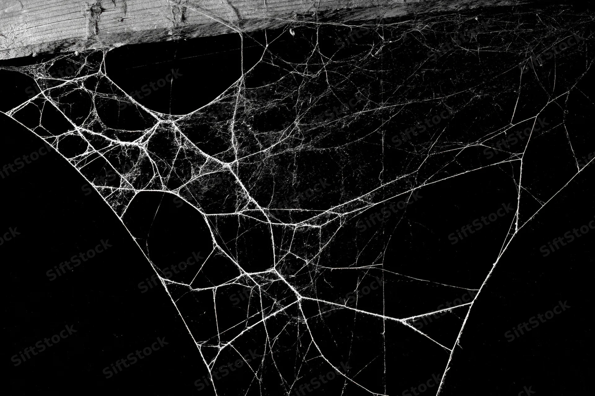 Intricate spiderweb stretched across dark corner with wooden beam above