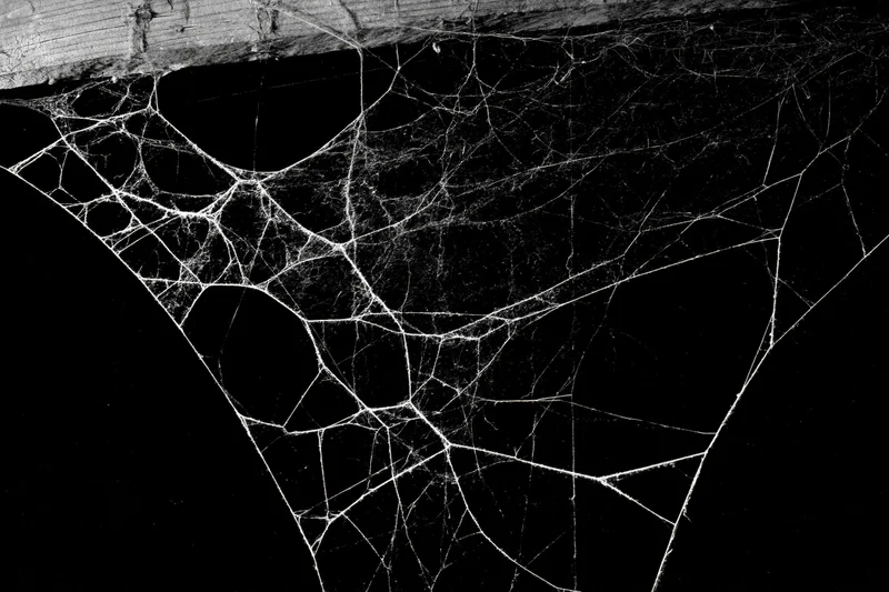 Intricate spiderweb stretched across dark corner with wooden beam above