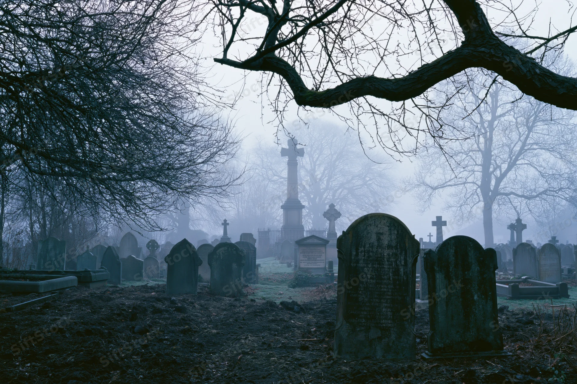 Foggy winter morning in an old cemetery with weathered headstones and bare trees