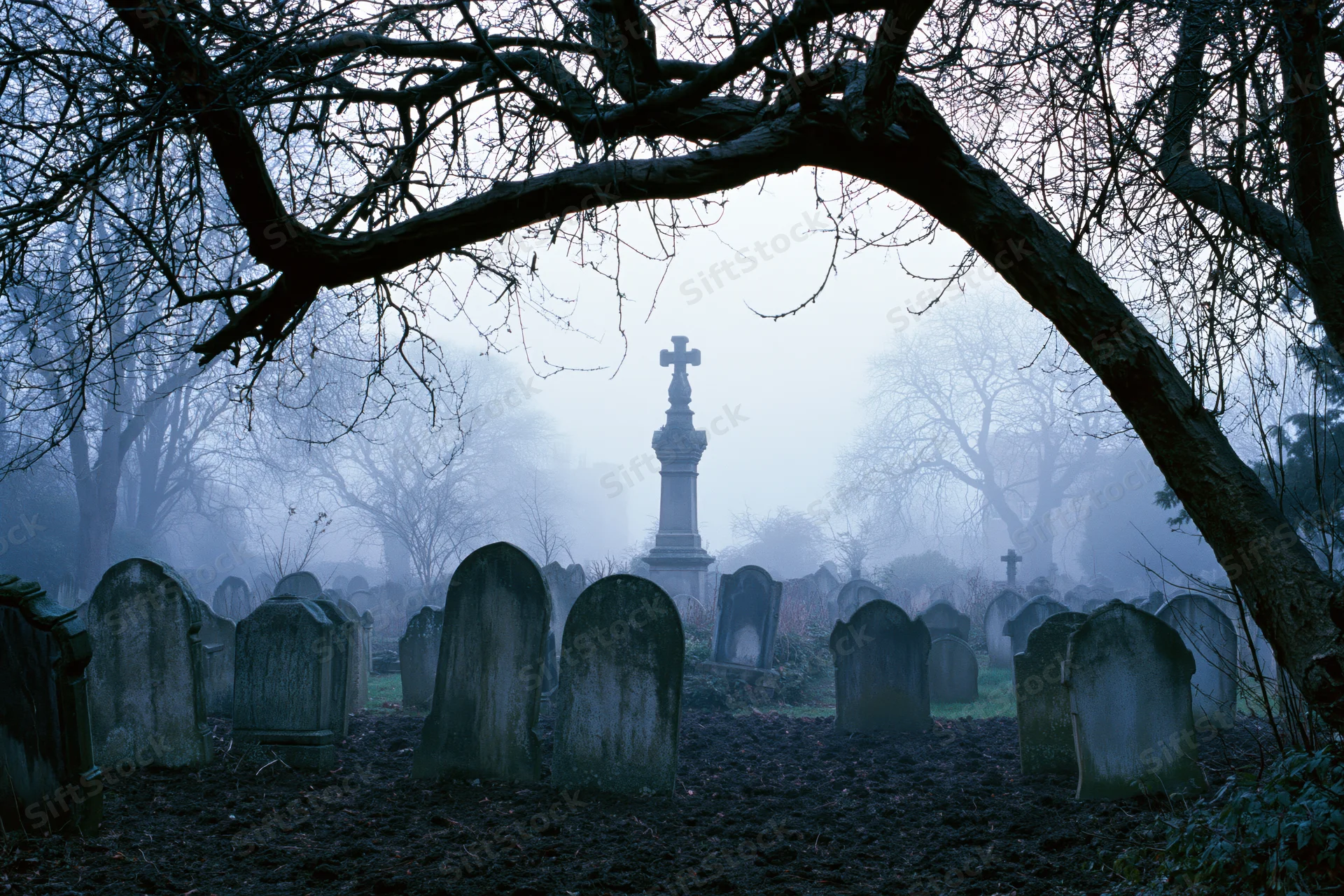 Foggy cemetery with weathered headstones framed by bare tree branches on a winter morning