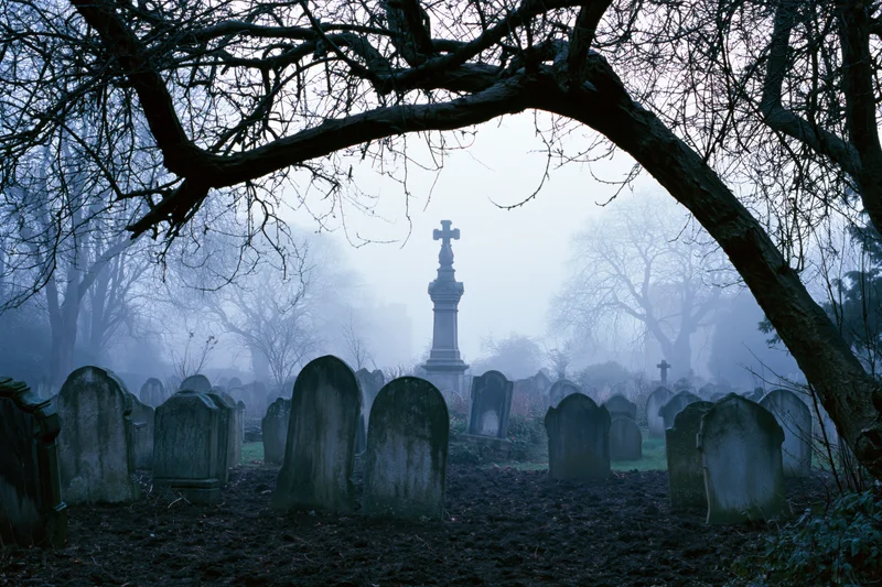 Foggy cemetery with weathered headstones framed by bare tree branches on a winter morning