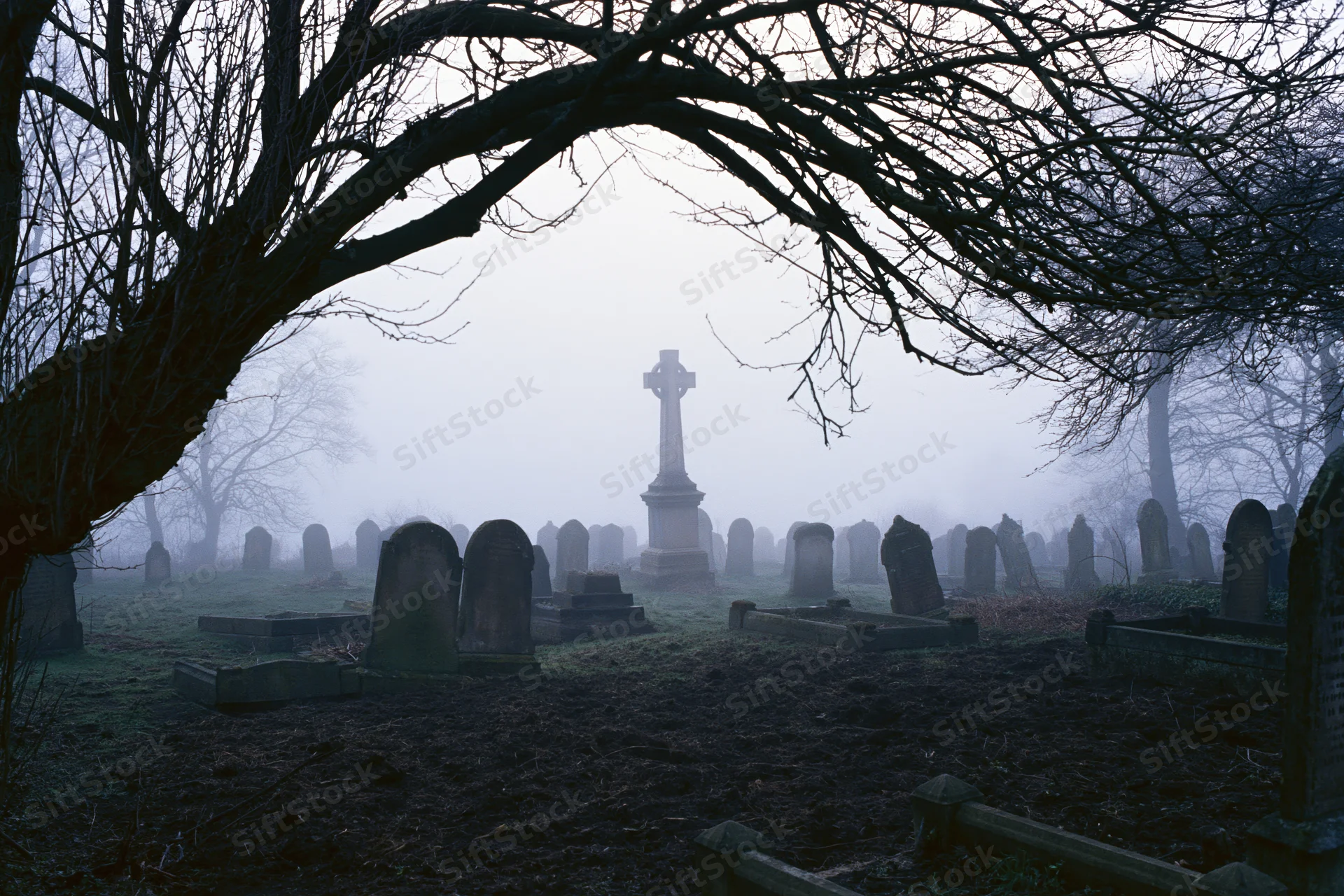 Foggy winter morning in an old cemetery with weathered headstones and bare tree branches framing the view