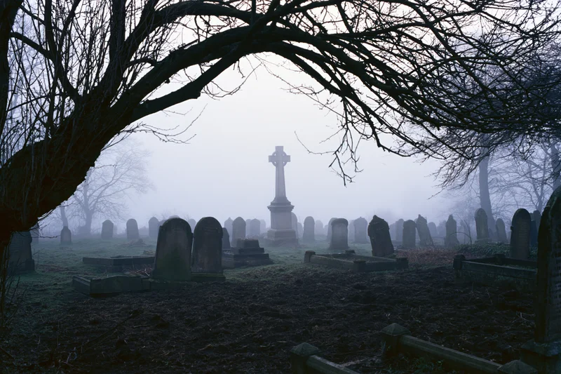 Foggy winter morning in an old cemetery with weathered headstones and bare tree branches framing the view