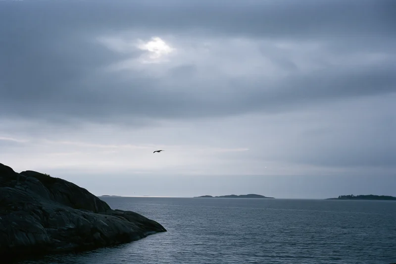 Overcast coastal seascape with a seagull flying above the ocean near rocky cliffs and distant islands