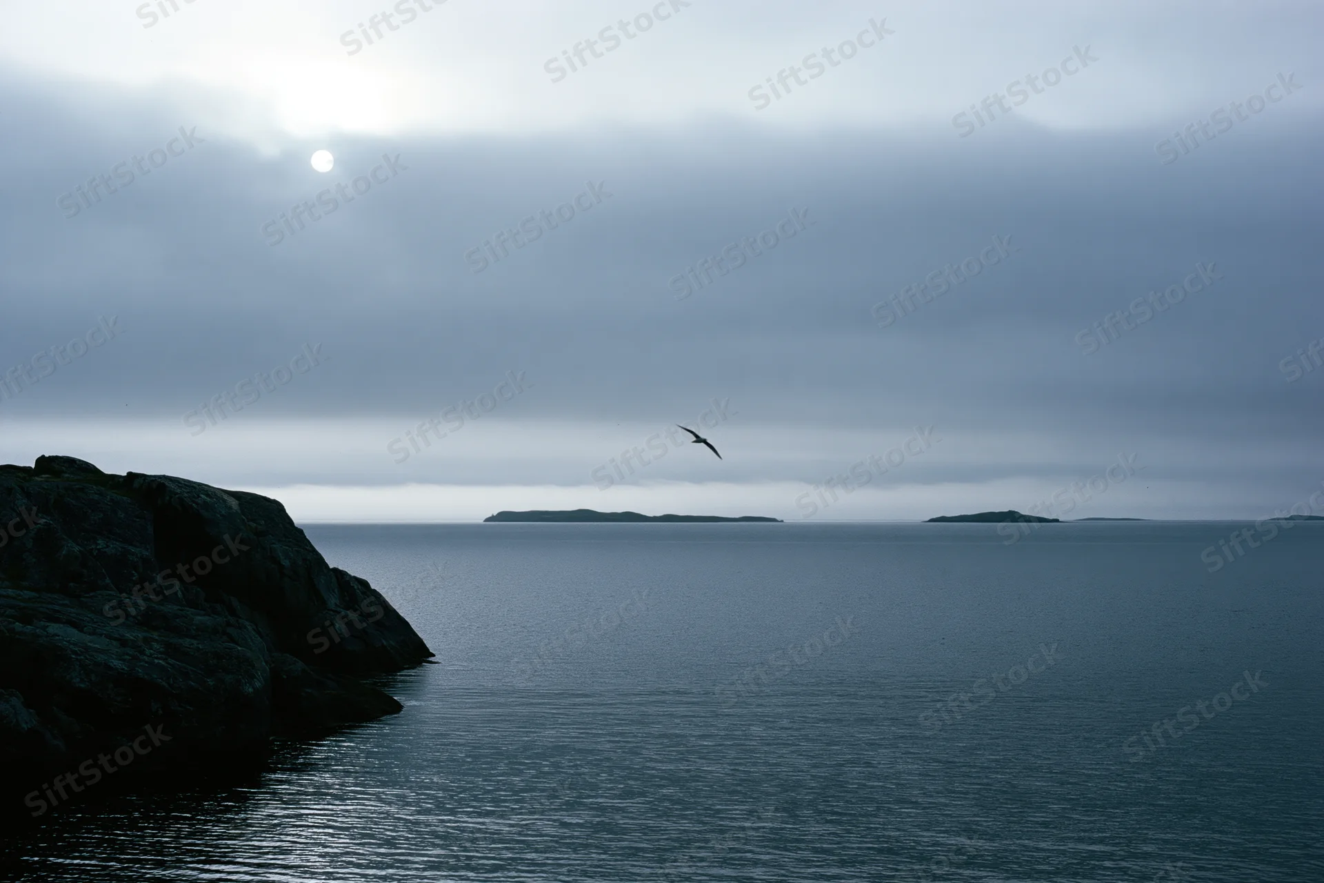 Overcast coastal seascape with a pale sun behind clouds and a seagull flying over calm water near rocky cliffs
