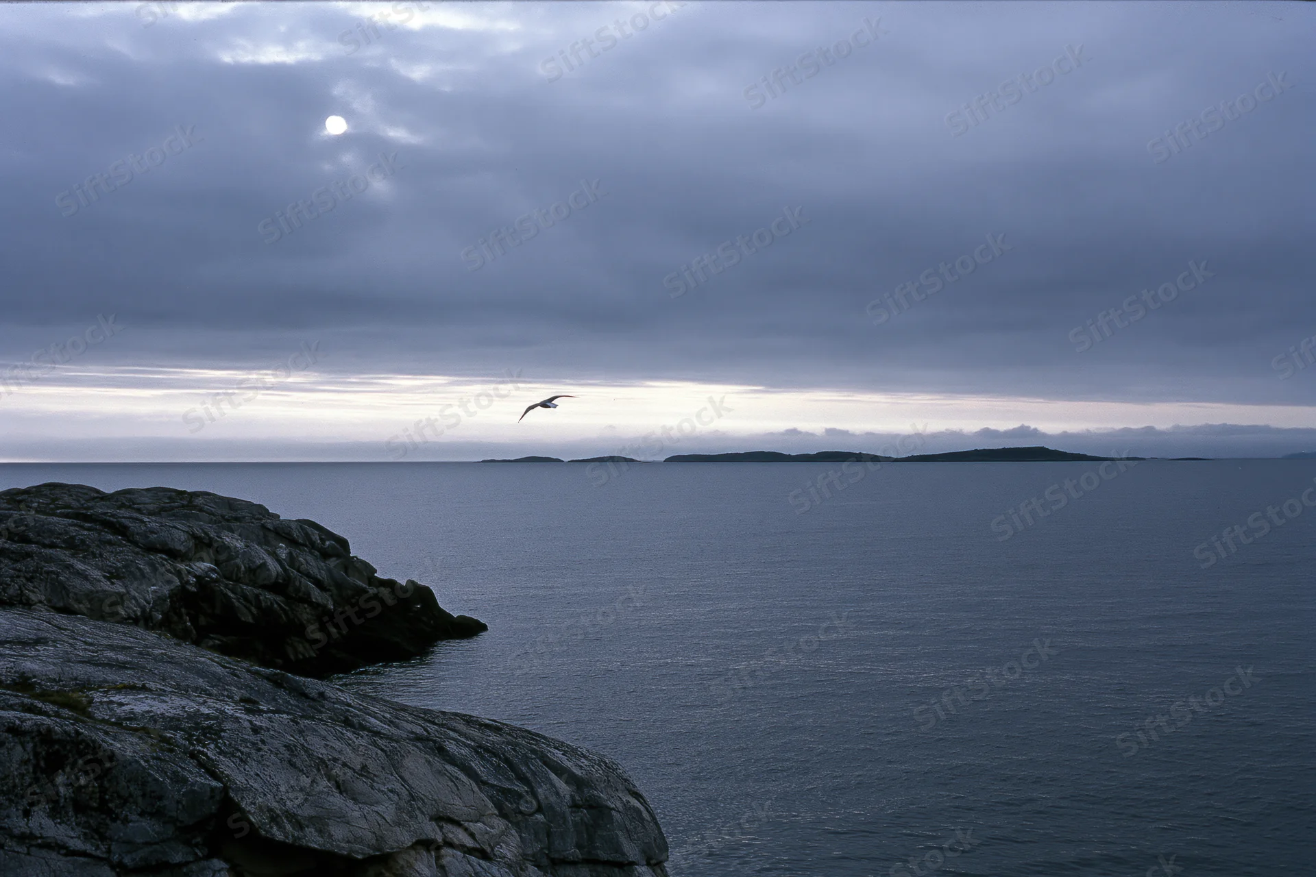 Seagull flying over calm ocean near rocky cliff under overcast sky