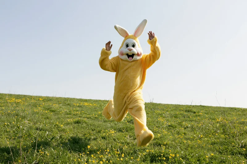 Person in yellow easter bunny costume running across grassy field