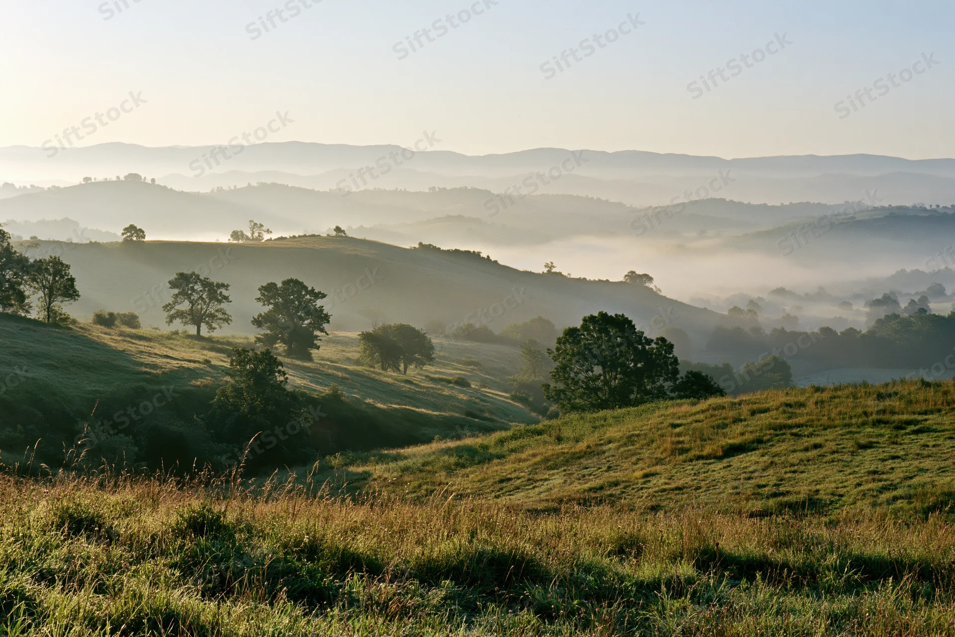 Rolling hills covered in mist at early morning in a green countryside landscape
