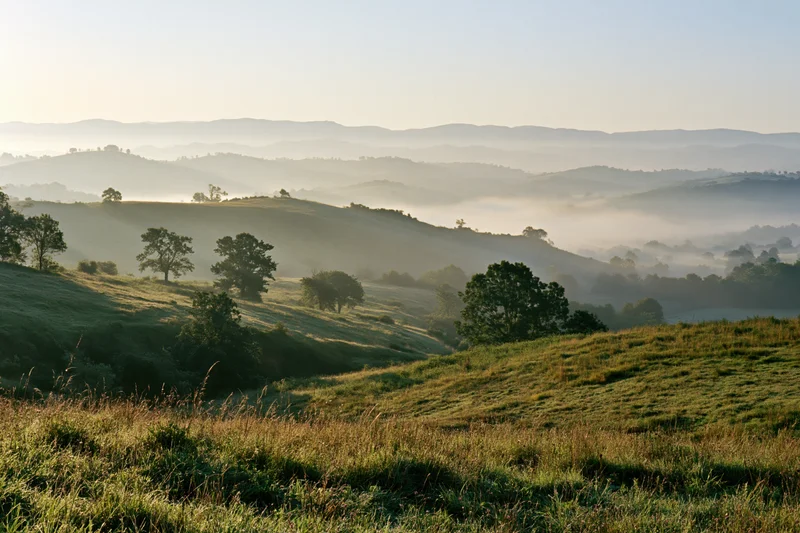 Rolling hills covered in mist at early morning in a green countryside landscape