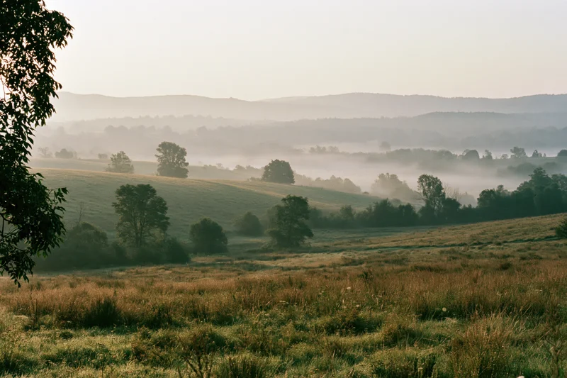 Misty rolling hills and fields at dawn in the countryside