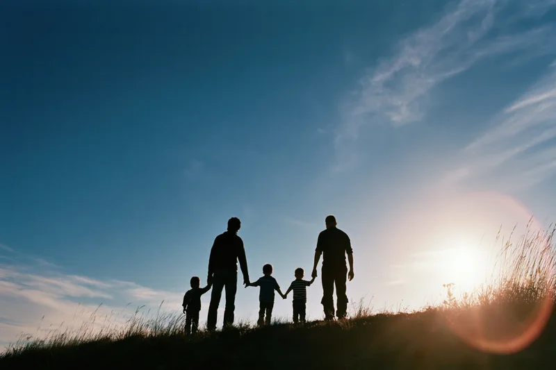 Silhouette of family holding hands on grassy hill at sunset