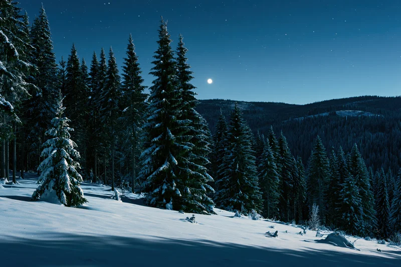 Snow-covered spruce forest on a mountain slope under a full moon at night