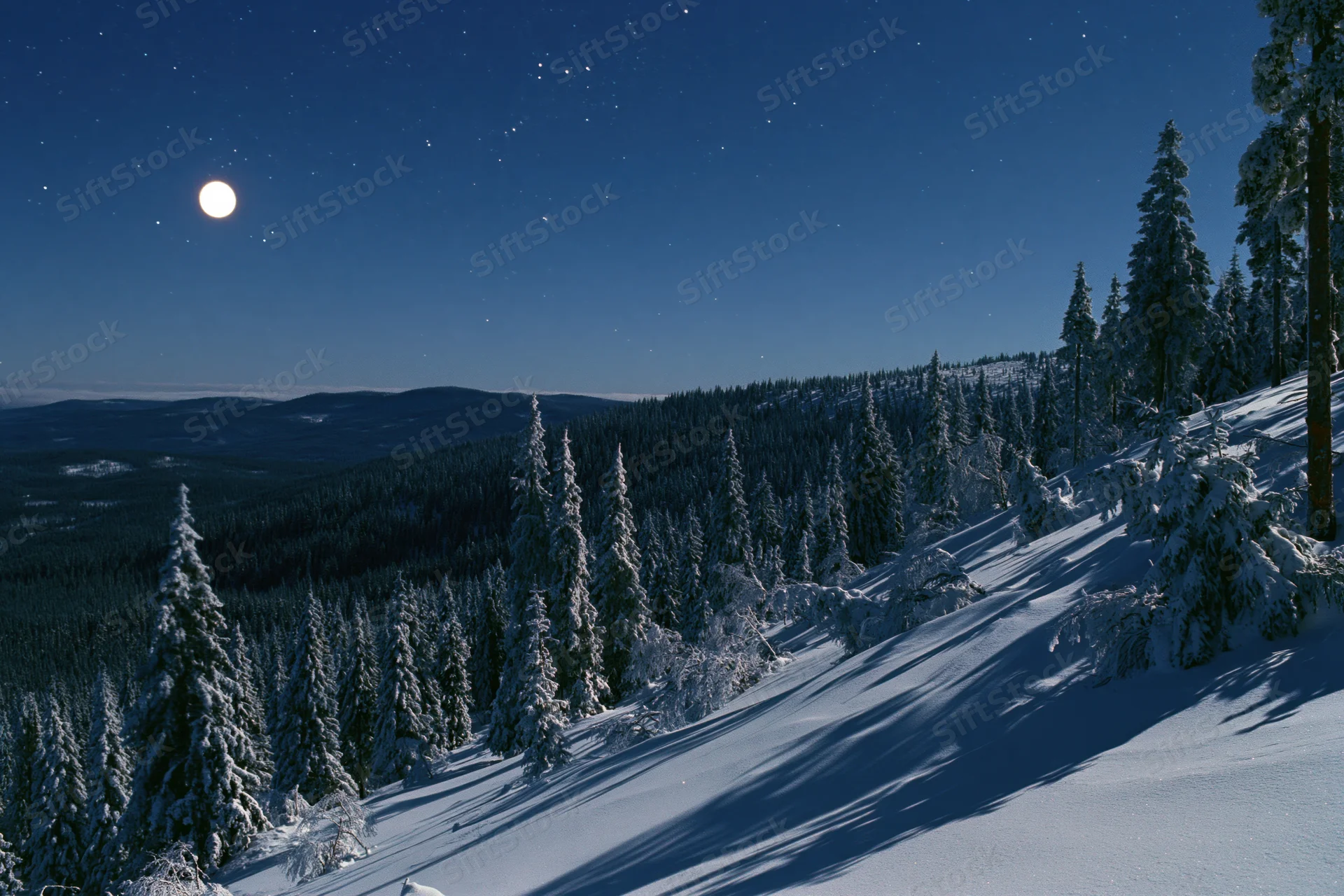 Snow-covered spruce forest on a mountain slope under a full moon at night