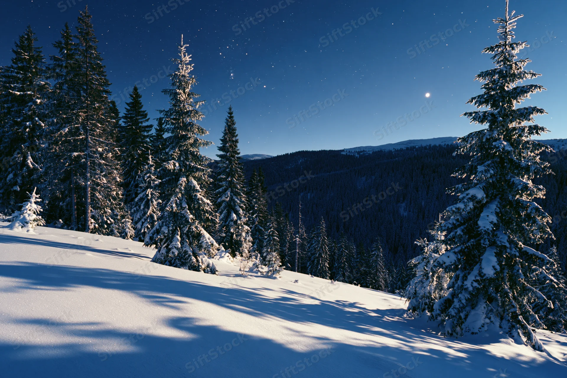 Snow-covered spruce forest on a mountain slope under a starry night sky with moonlight