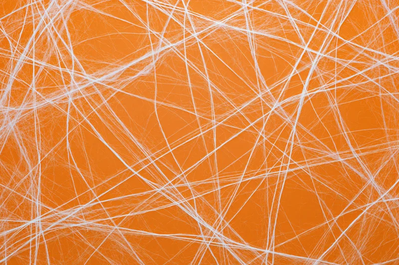 White artificial cobweb spread across orange background for Halloween decoration