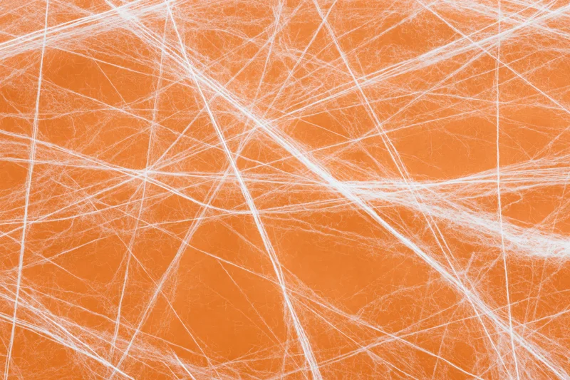 White artificial cobweb spread across orange background for Halloween decoration