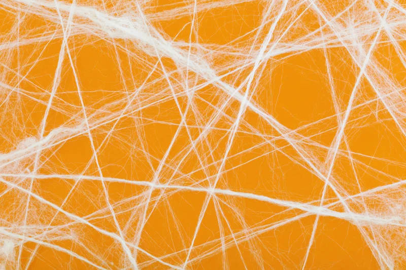 White fake cobweb decoration spread across orange background