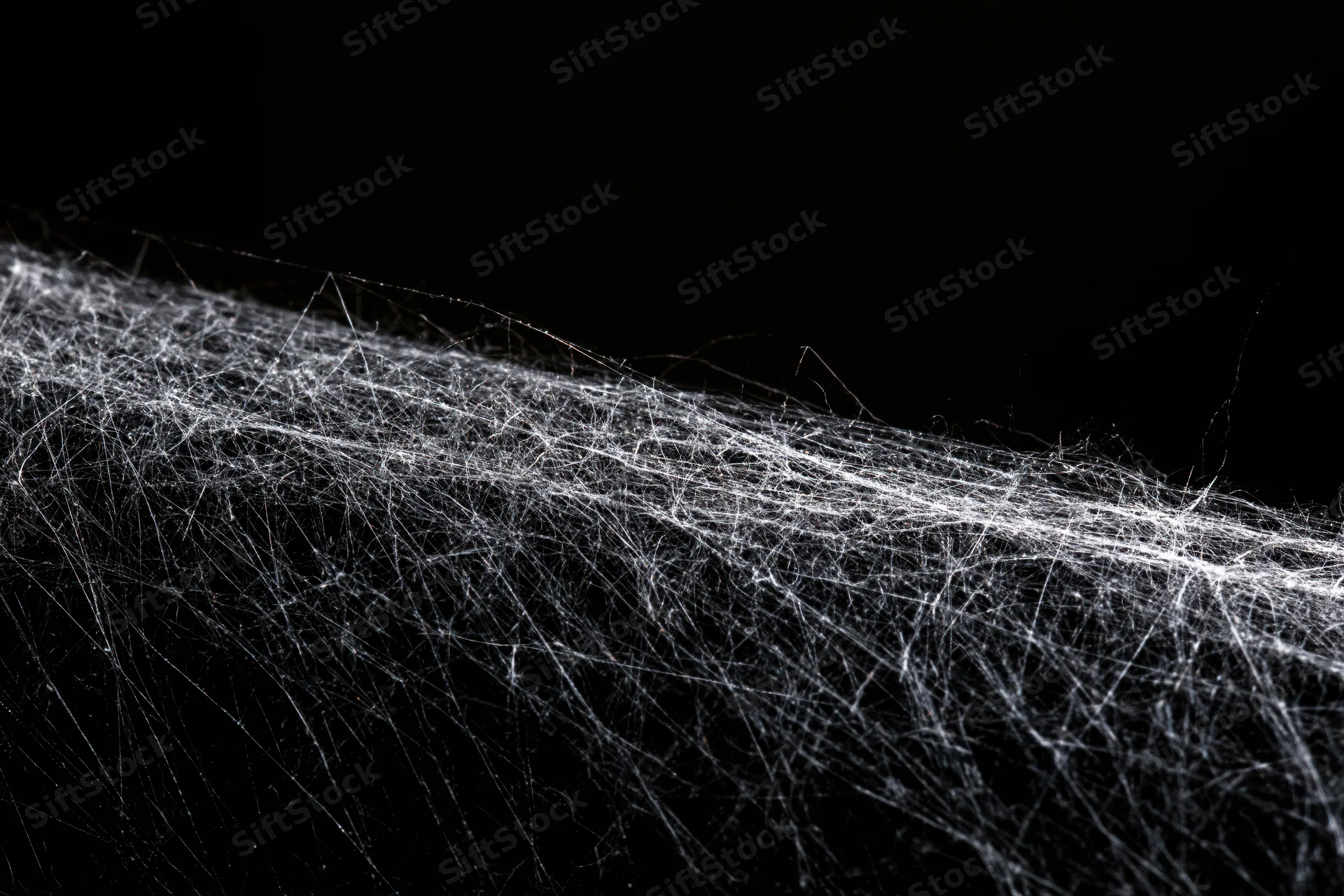 Tangled cobweb stretching diagonally across black background in macro closeup