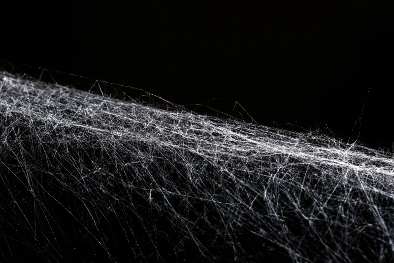 Tangled cobweb stretching diagonally across black background in macro closeup
