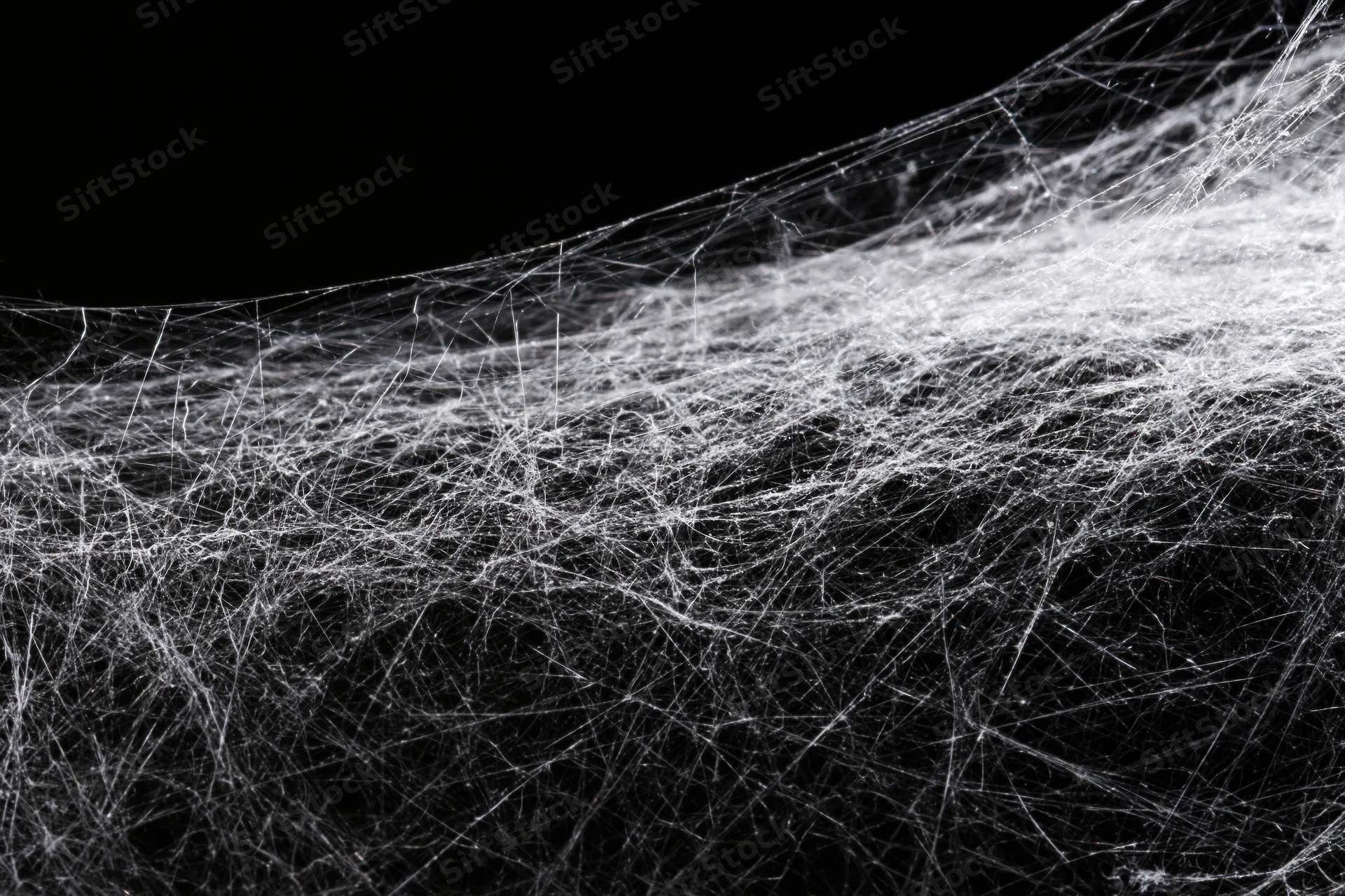 Tangled cobweb stretching diagonally across frame in high contrast black and white