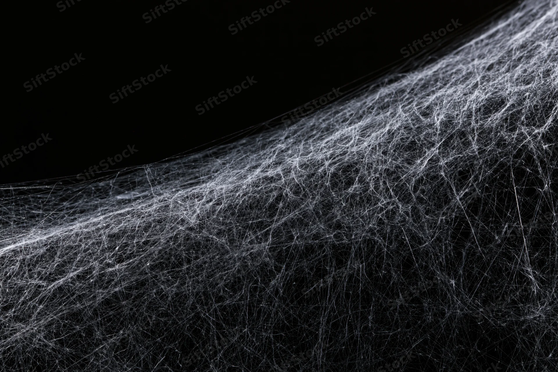 Tangled cobweb stretching diagonally across black background