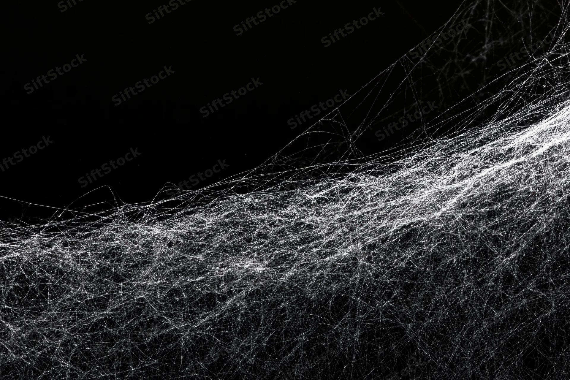 Tangled cobweb stretching diagonally across black background