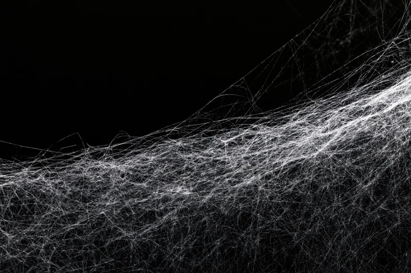 Tangled cobweb stretching diagonally across black background