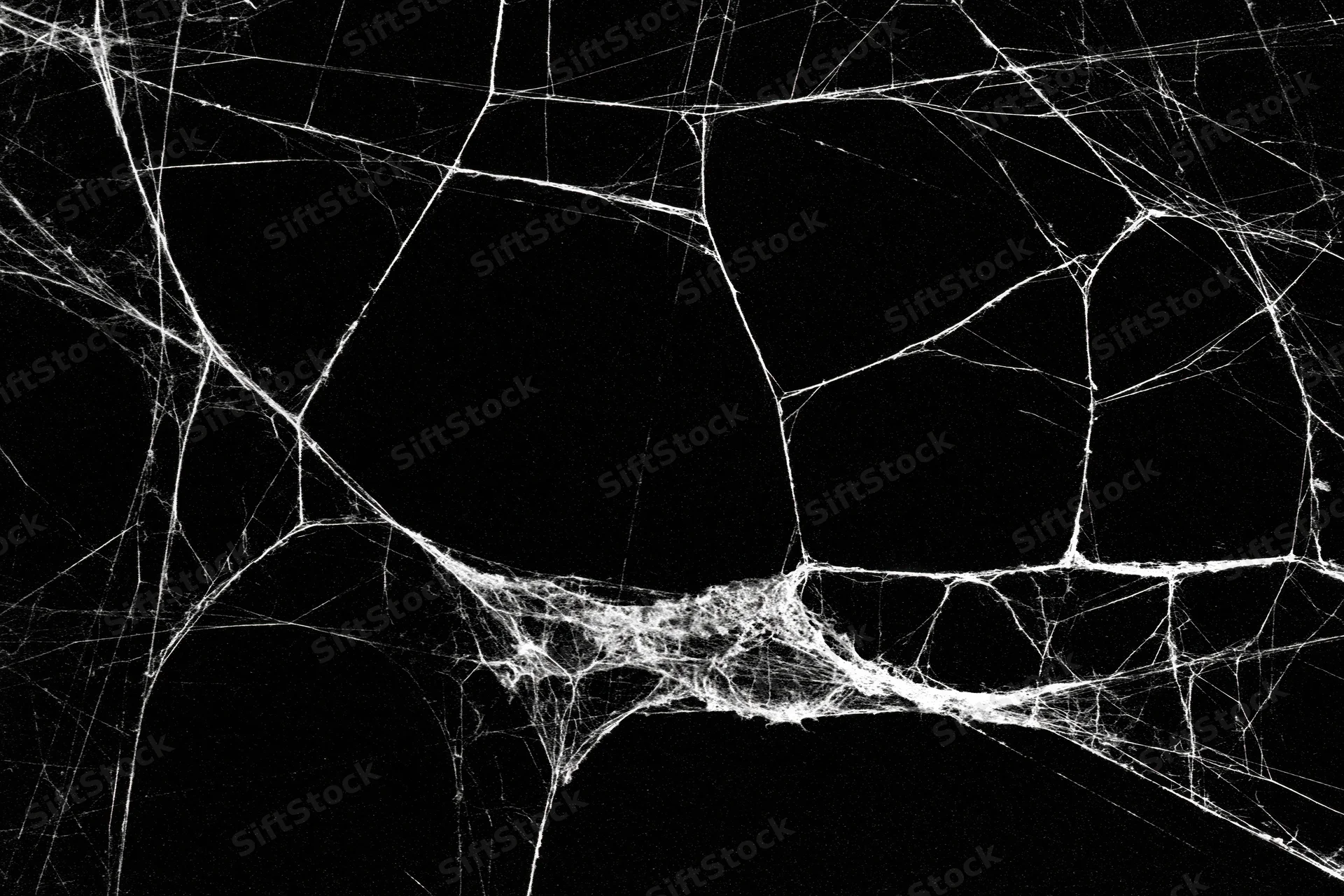 Tangled spiderweb stretching across dark void in closeup view