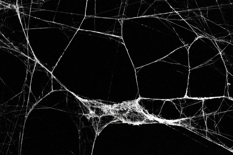 Tangled spiderweb stretching across dark void in closeup view