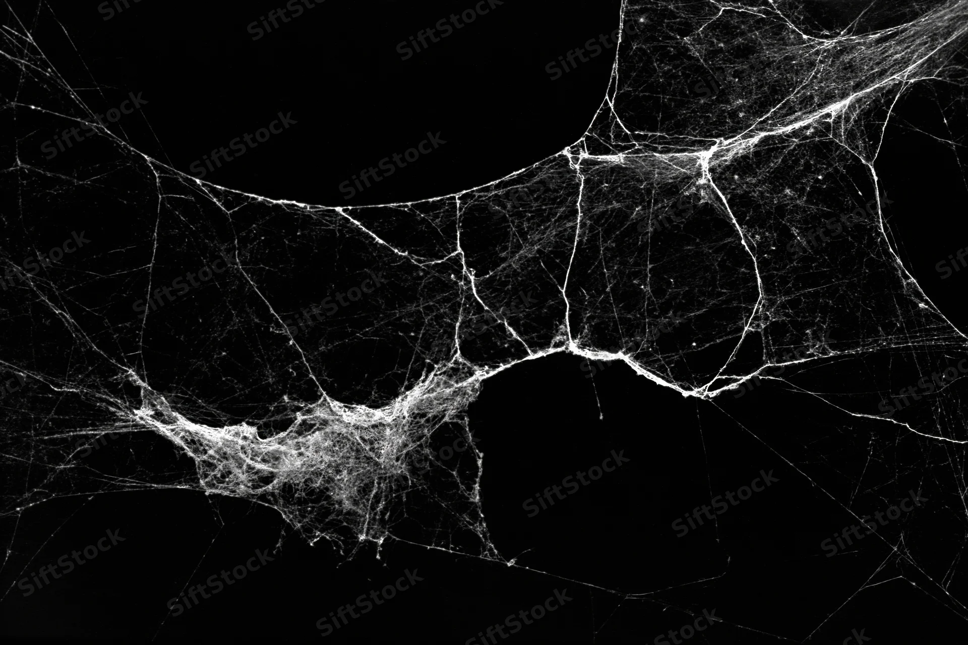 Tangled dusty spiderweb stretched across dark void