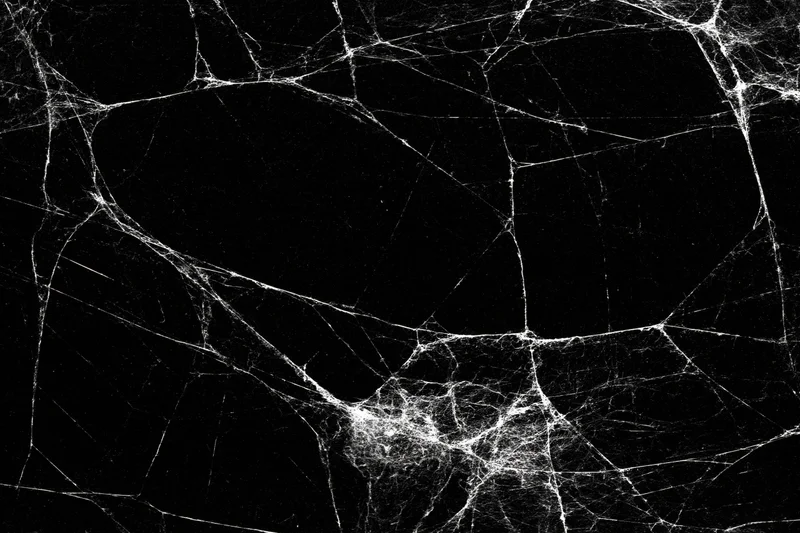 Tangled dusty spider web stretched across a dark void