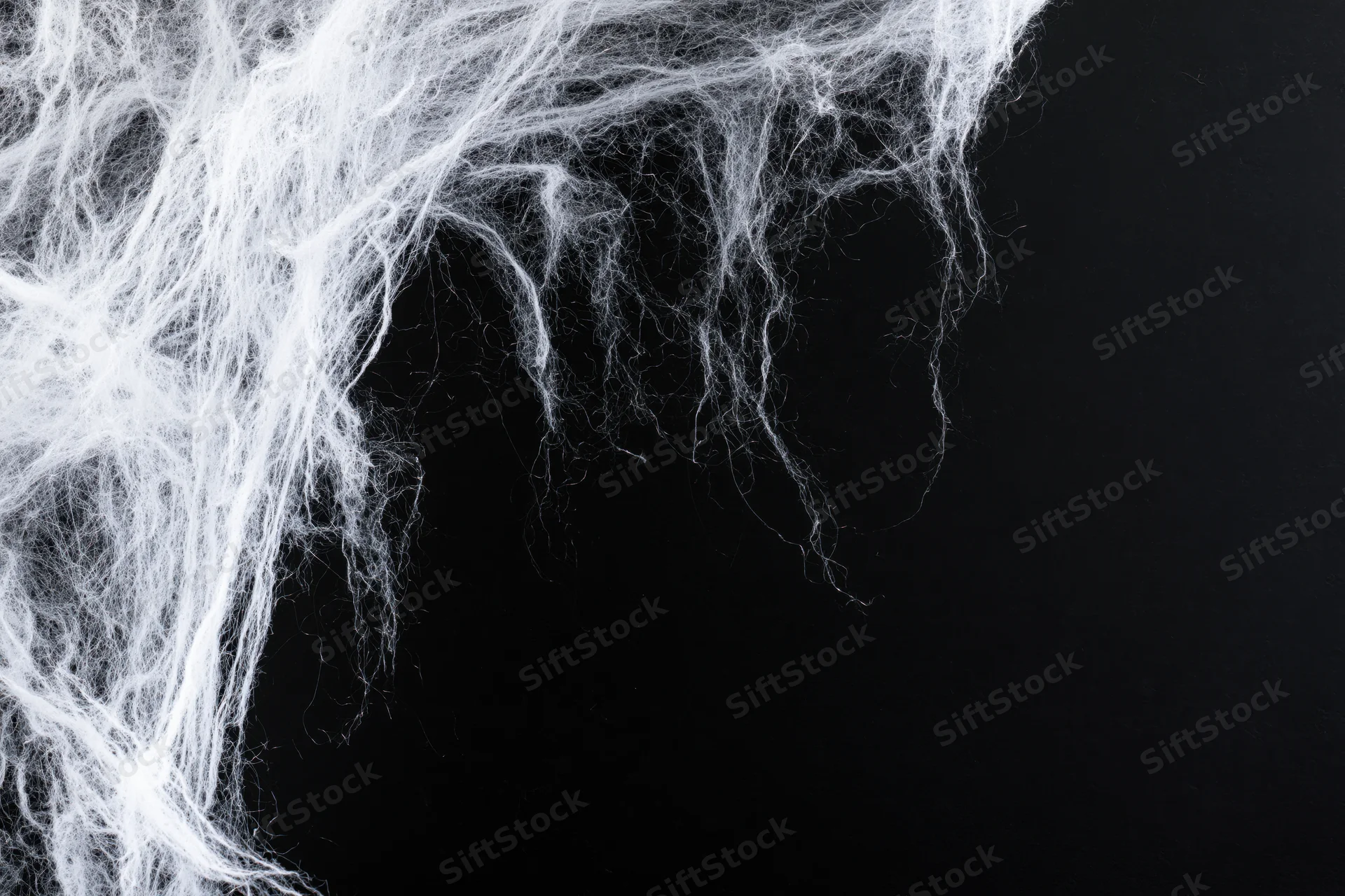 Tangled white artificial spider web stretched across the upper left against black background