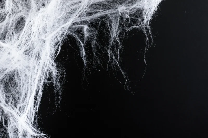 Tangled white artificial spider web stretched across the upper left against black background