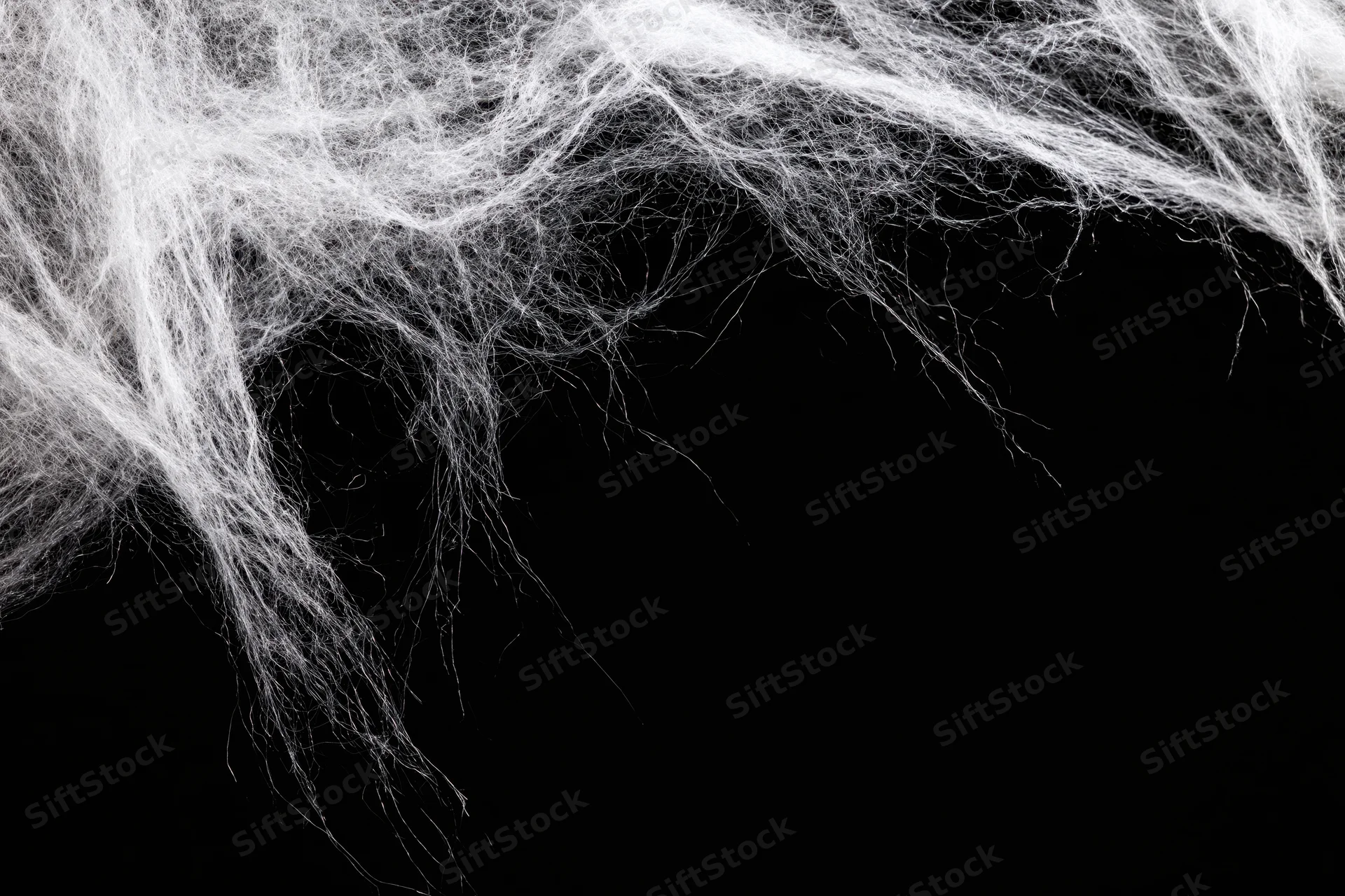 Tangled white artificial spiderweb stretched across the top against black background